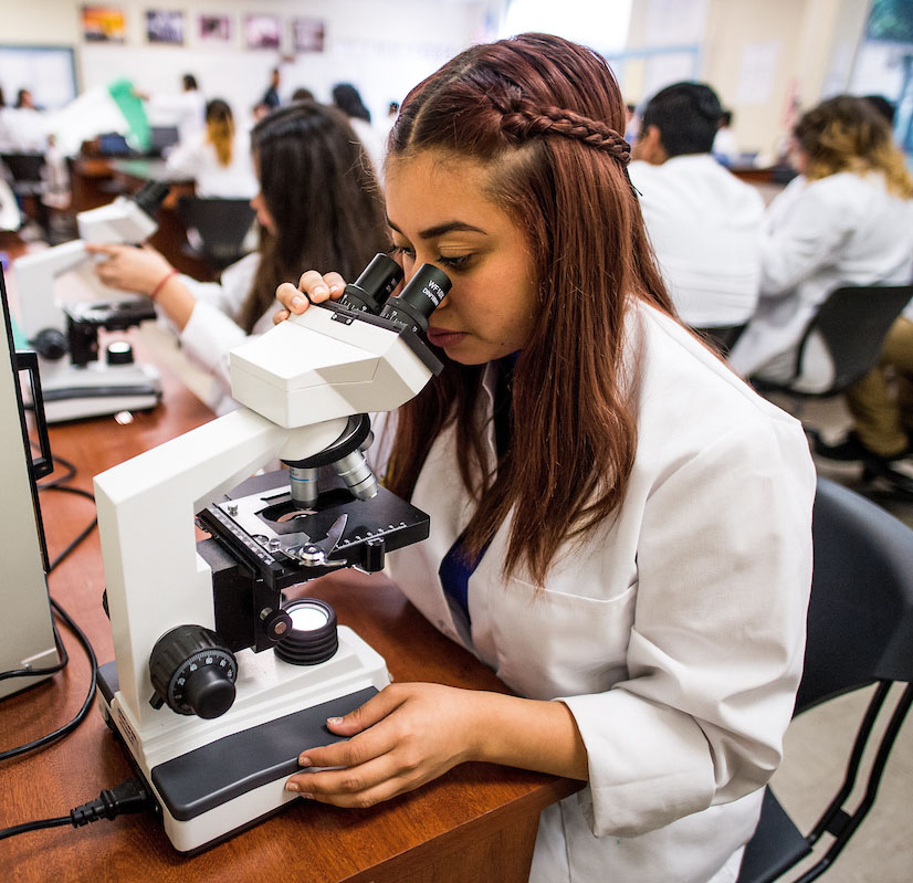 A NAF Academy of Health Sciences student uses a microscope during classwork